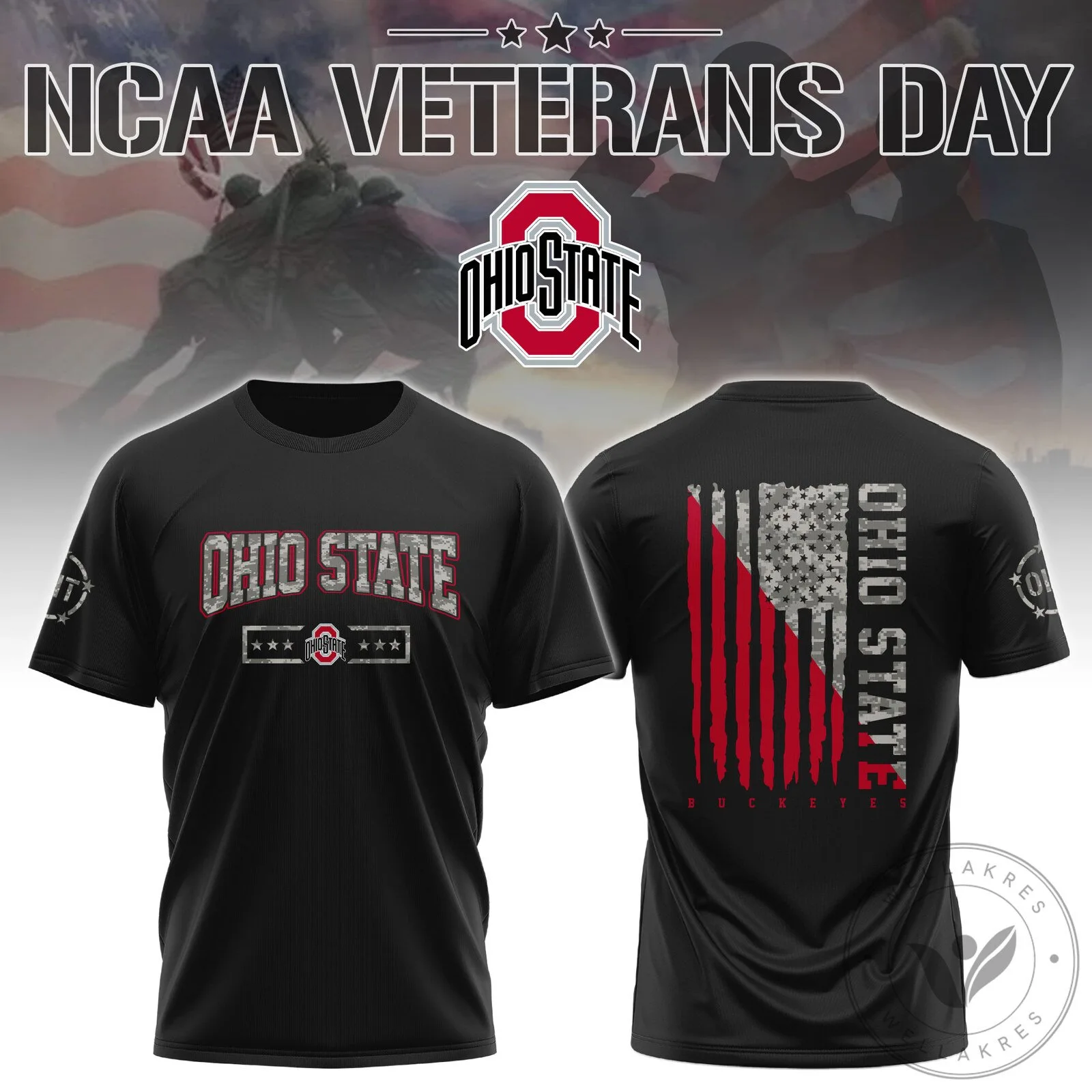 Ohio State Buckeyes Veterans Day Tribute Black T-Shirt